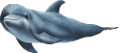 tengeri_halak_107