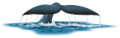 tengeri_halak_126