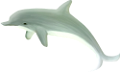 tengeri_halak_145