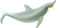 tengeri_halak_146