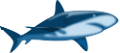 tengeri_halak_148