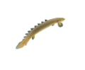 tengeri_halak_172