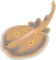 tengeri_halak_18