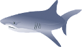 tengeri_halak_194