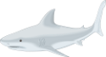 tengeri_halak_210