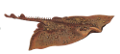 tengeri_halak_218