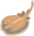 tengeri_halak_220