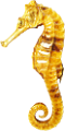 tengeri_halak_230
