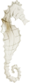 tengeri_halak_236