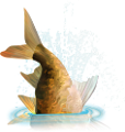 tengeri_halak_253