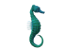 tengeri_halak_283