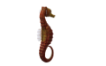 tengeri_halak_284