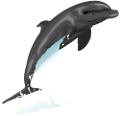 tengeri_halak_310