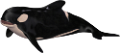 tengeri_halak_330
