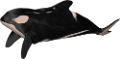 tengeri_halak_331
