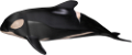 tengeri_halak_333