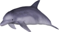 tengeri_halak_338