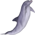 tengeri_halak_343
