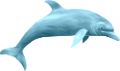 tengeri_halak_350