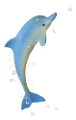 tengeri_halak_362