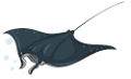 tengeri_halak_374