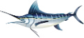 tengeri_halak_378
