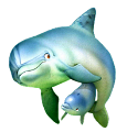tengeri_halak_401