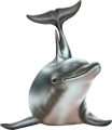 tengeri_halak_426