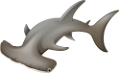 tengeri_halak_429