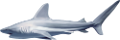 tengeri_halak_435
