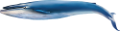 tengeri_halak_436