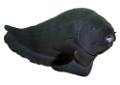 tengeri_halak_54