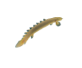 tengeri_halak_57