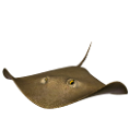 tengeri_halak_83