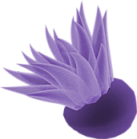 viziallatok_17.png
