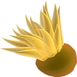 viziallatok_18.png