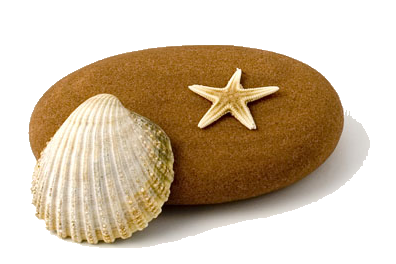 viziallatok_33.png