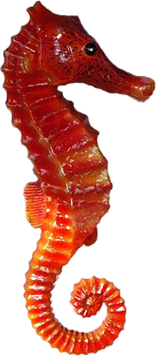 viziallatok_43.png