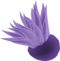 viziallatok_17