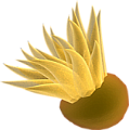 viziallatok_18