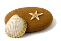 viziallatok_33