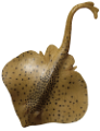 viziallatok_6