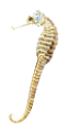 viziallatok_9