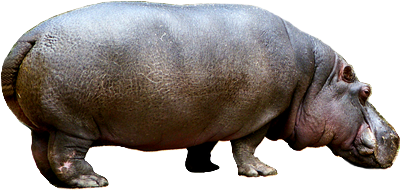 vizilo_17.png