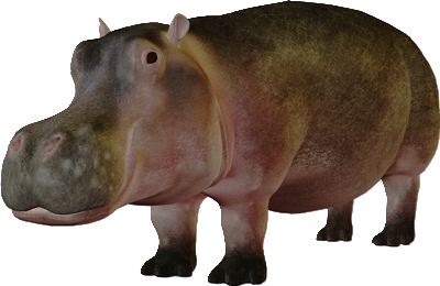 vizilo_3.png