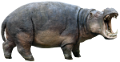 vizilo_13