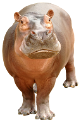 vizilo_21