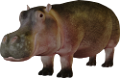 vizilo_24