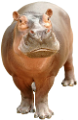 vizilo_26