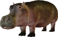vizilo_3